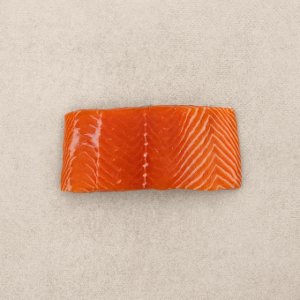 Fresh salmon filet (Copy)