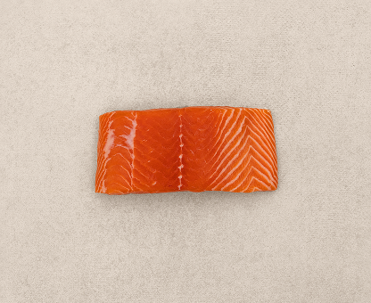 Fresh salmon filet