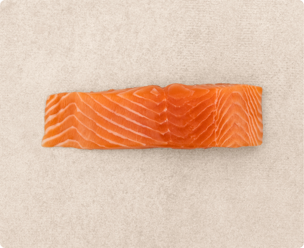 Fresh salmon filet with skin